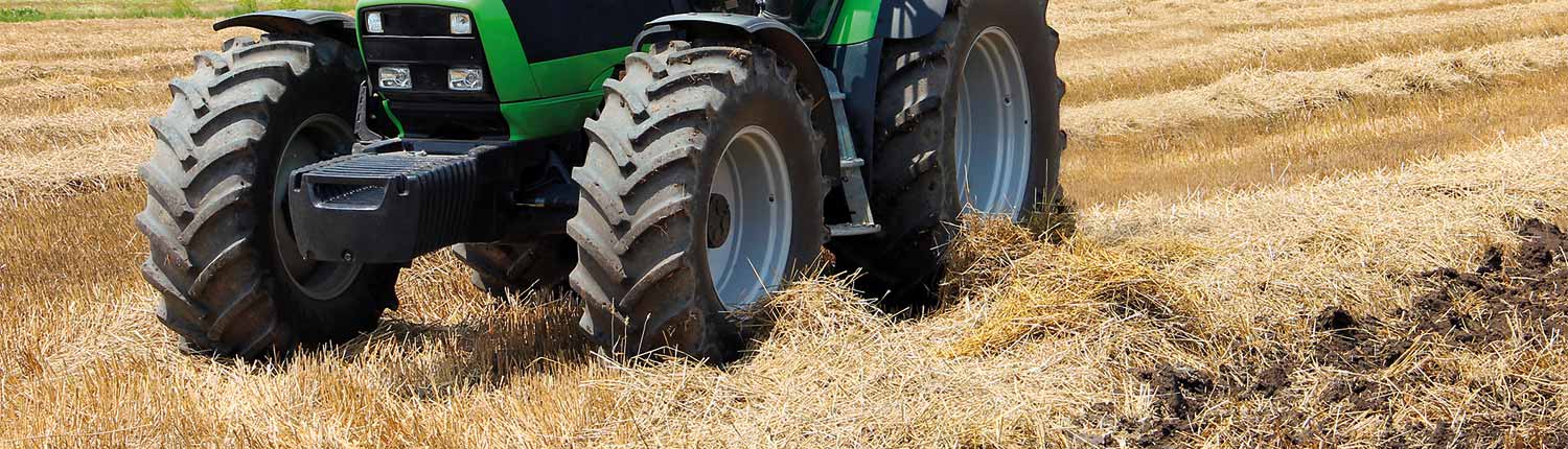 agriculture