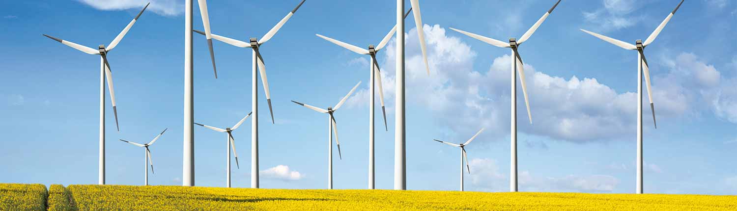 renewable
