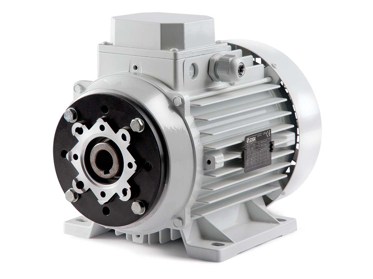 hollow shaft motors